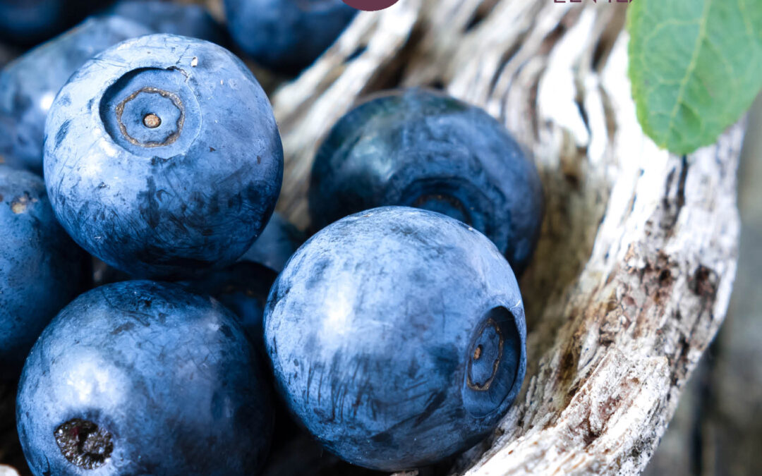 월간비건 2025년 8월