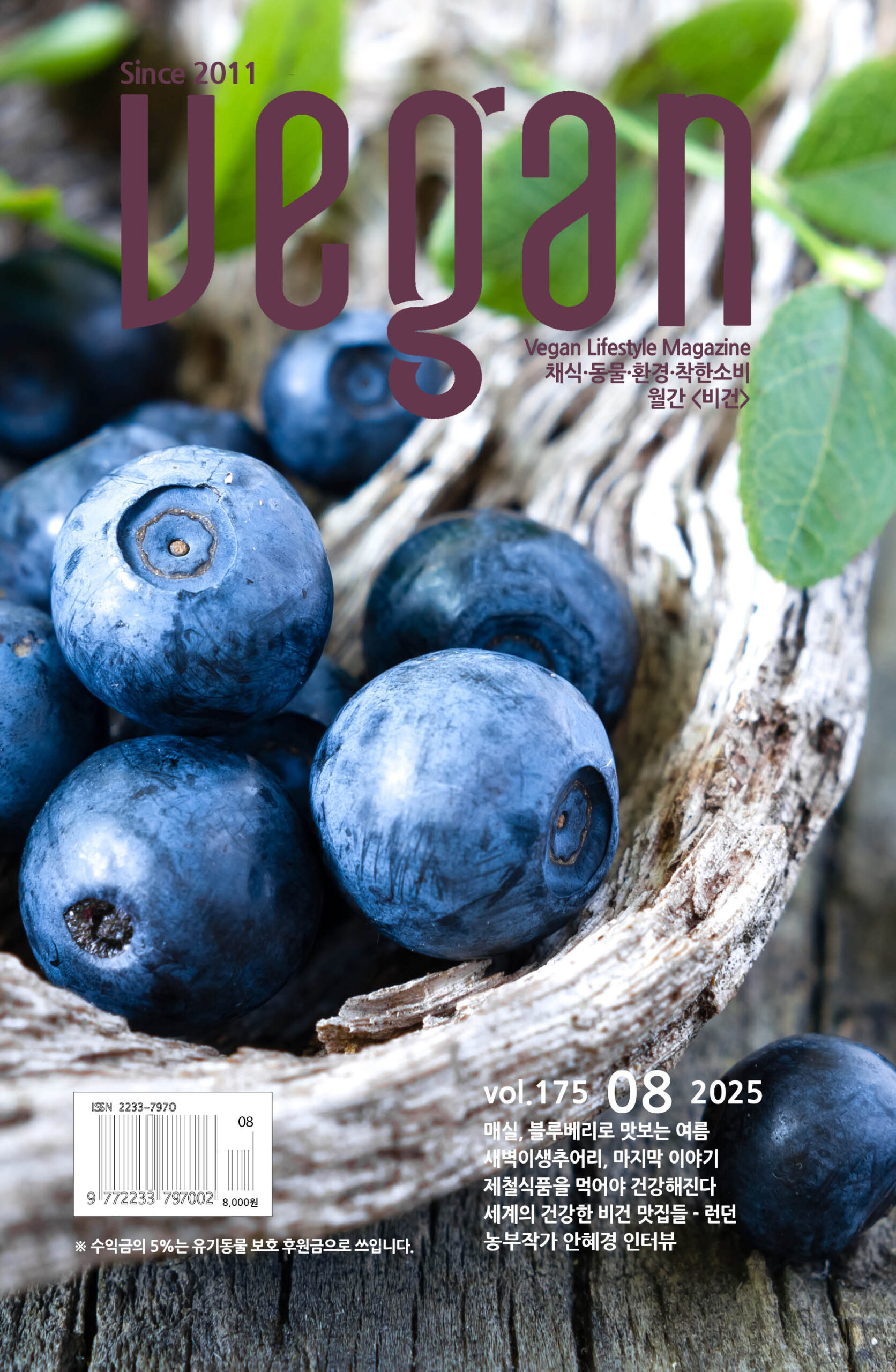 월간비건 2025년 8월