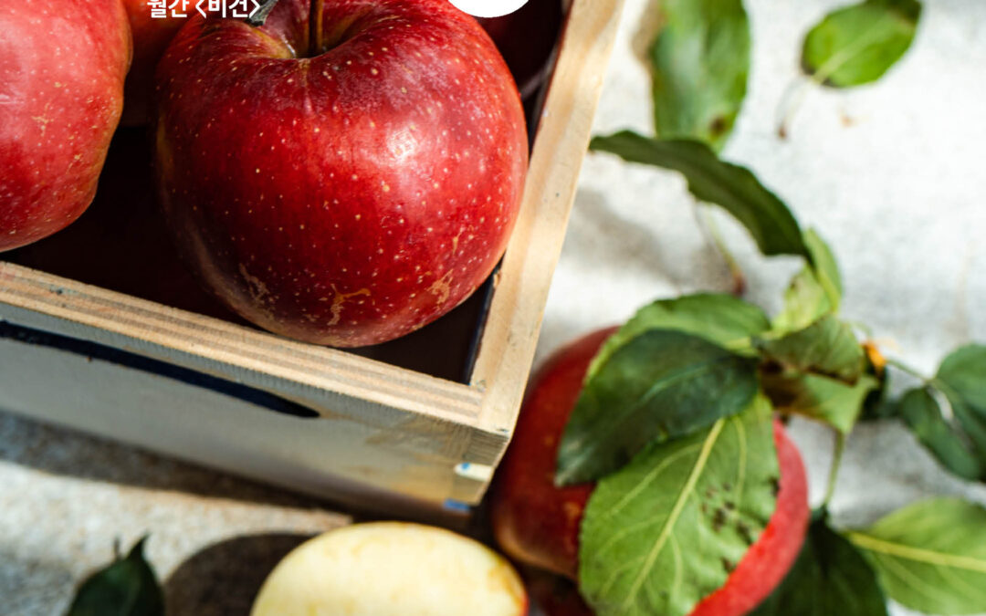 월간비건 2025년 10월