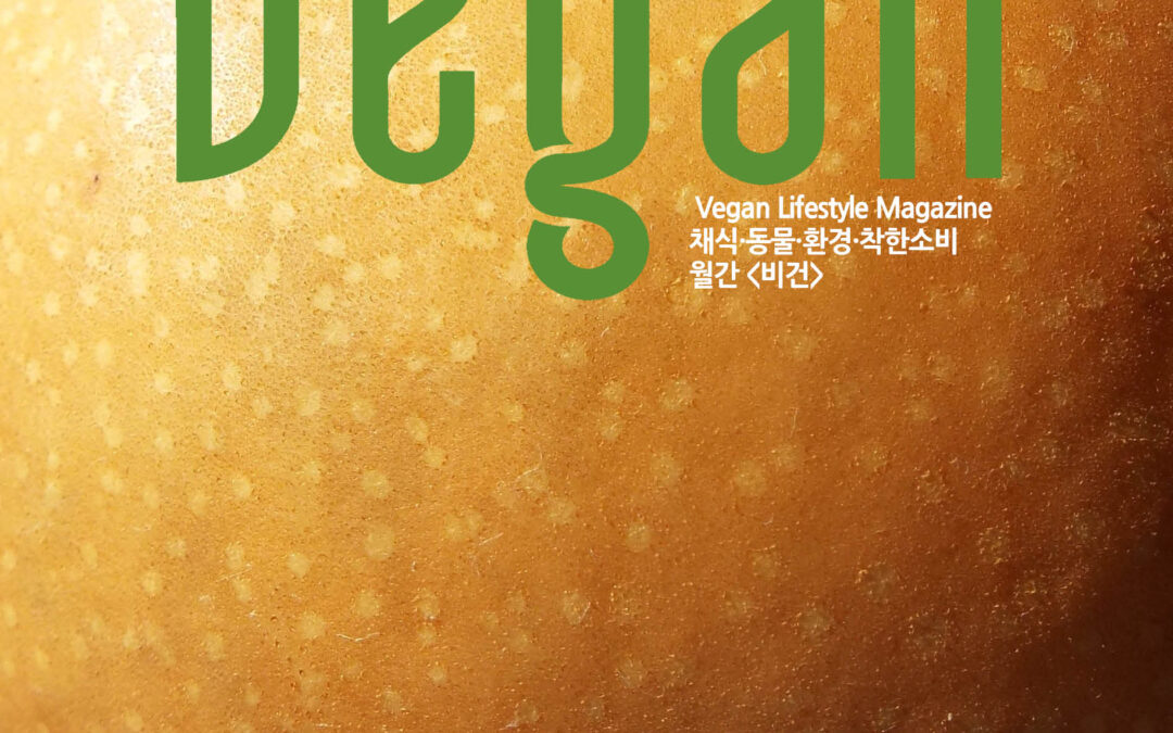 월간비건 2025년 12월